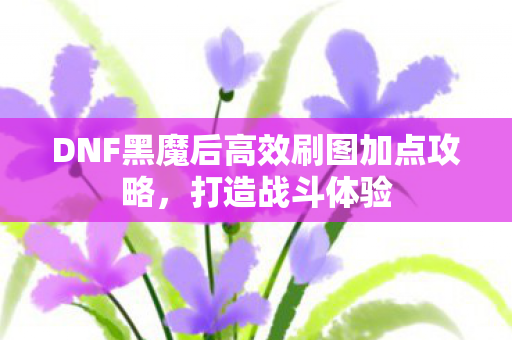 DNF黑魔后高效刷图加点攻略图片