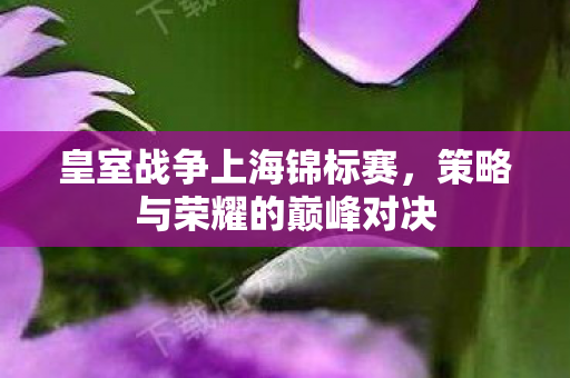 策略与荣耀的巅峰对决图片