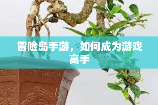 如何成为游戏高手图片
