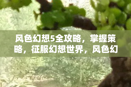 征服幻想世界的策略与技巧图片