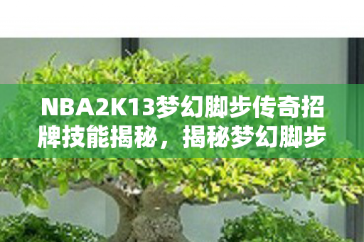 NBA2K13梦幻脚步传奇招牌技能揭秘图片
