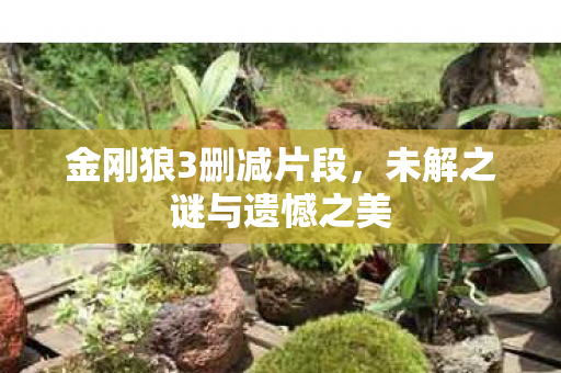 未解之谜与遗憾之美图片