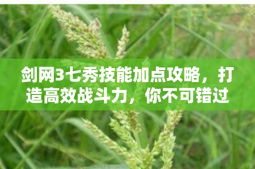 剑网3七秀技能加点攻略图片