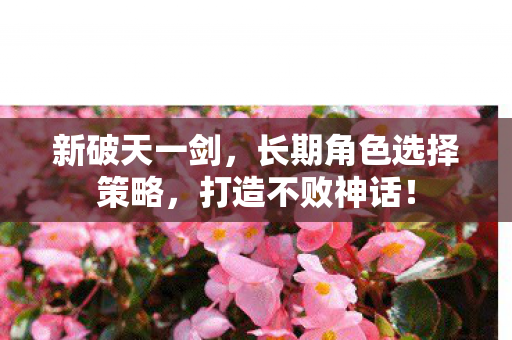 长期角色选择策略图片