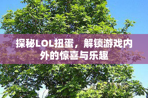 解锁游戏内外的惊喜与乐趣图片