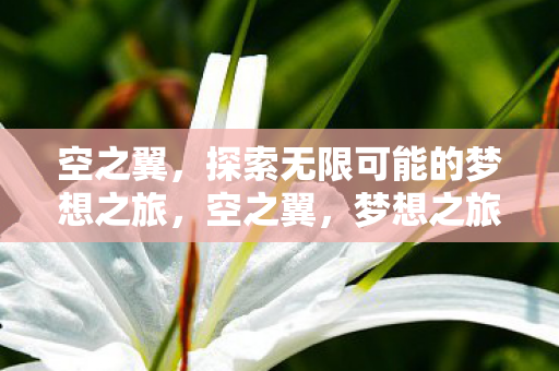 空之翼，探索无限可能的梦想之旅，空之翼，梦想之旅的探索与无限可能