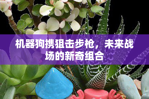 未来战场的新奇组合图片