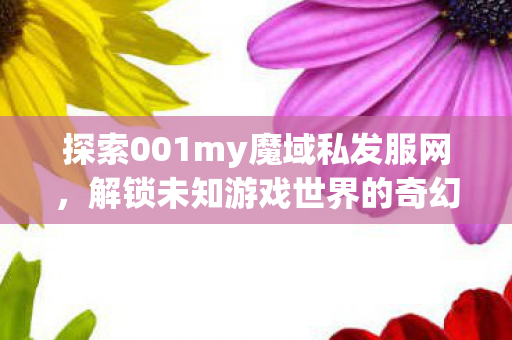 探索001my魔域私发服网图片