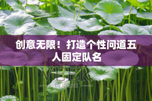 打造个性问道五人固定队名图片