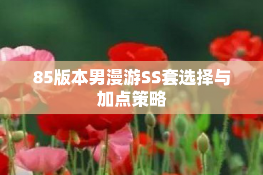 85版本男漫游SS套选择与加点策略图片