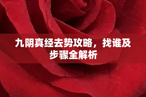 九阴真经去势攻略图片