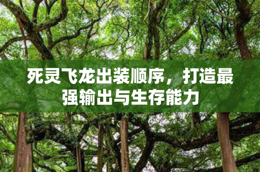 打造最强输出与生存能力图片