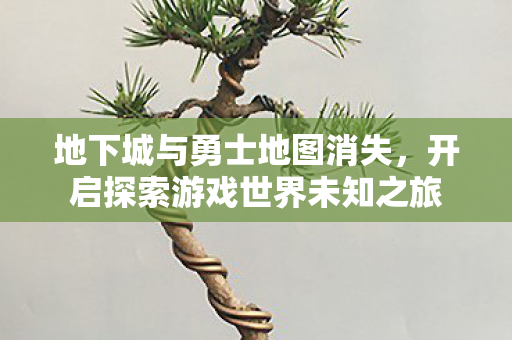开启探索游戏世界未知之旅图片