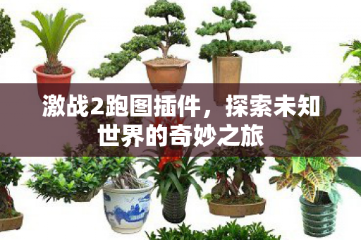 激战2跑图插件，探索未知世界的奇妙之旅