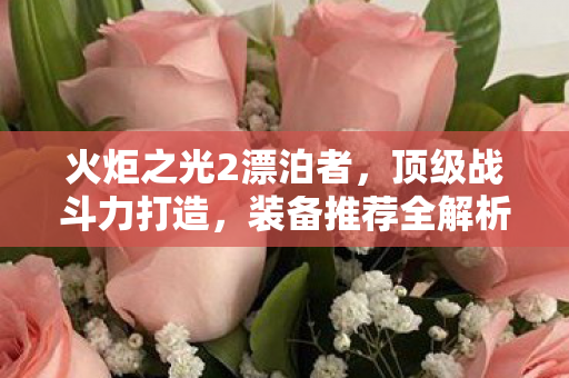 火炬之光2漂泊者图片