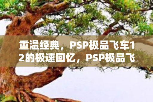 重温经典，PSP极品飞车12的极速回忆，PSP极品飞车12，重温经典，极速回忆