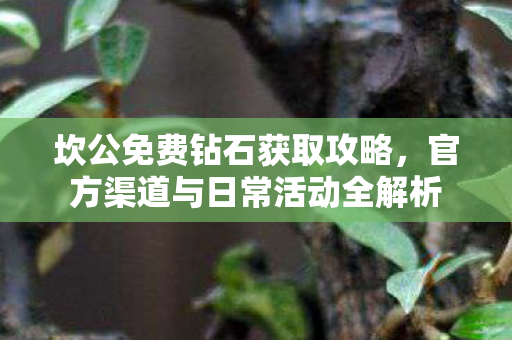 官方渠道与日常活动全解析图片