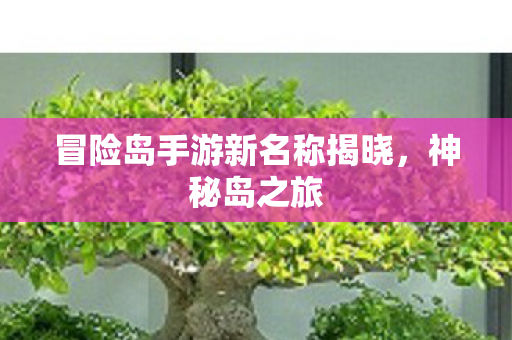 冒险岛手游新名称揭晓图片