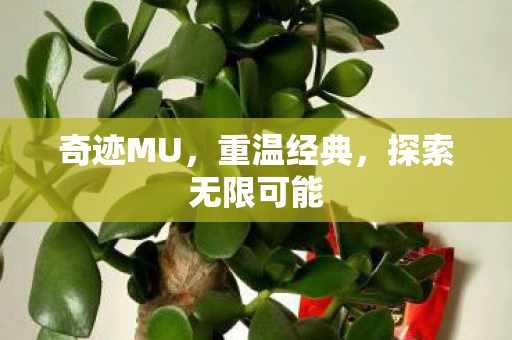 奇迹MU,重温经典,探索无限可能 奇迹MU,重温经典,探索无限可能