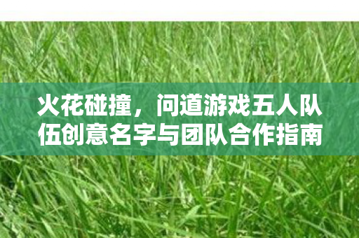问道游戏五人队伍创意名字与团队合作指南图片
