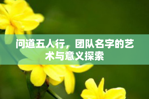 团队名字的艺术与意义探索图片