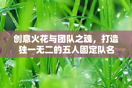 打造独一无二的五人固定队名图片