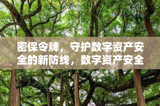 守护数字资产安全的新防线图片