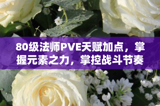 80级法师PVE天赋加点图片