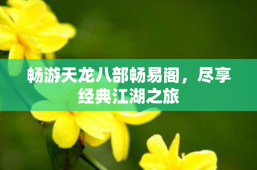 畅游天龙八部畅易阁图片