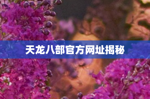 天龙八部官方网址揭秘图片