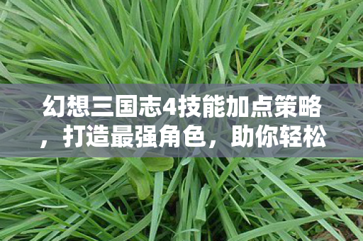 幻想三国志4技能加点策略图片