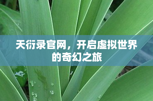 天衍录官网，开启虚拟世界的奇幻之旅