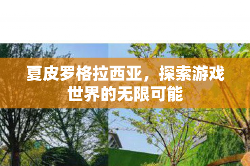 夏皮罗格拉西亚,探索游戏世界的无限可能 夏皮罗格拉西亚,探索游戏世界的无限可能