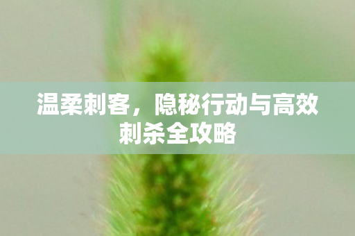 隐秘行动与高效刺杀全攻略图片