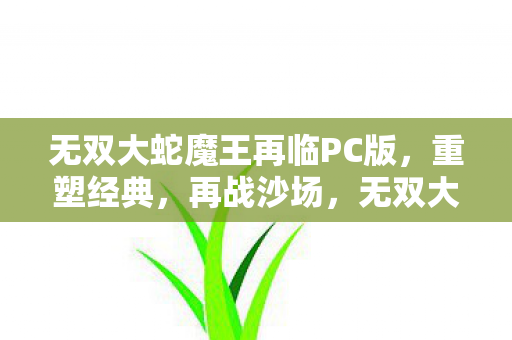 无双大蛇魔王再临PC版重塑经典图片