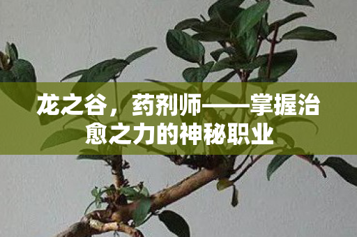 掌握治愈之力的神秘职业图片