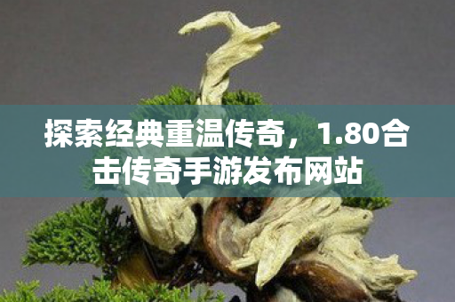 80合击传奇手游发布网站图片