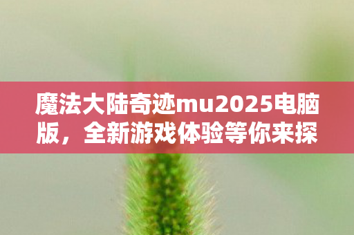 魔法大陆奇迹mu2025电脑版,全新游戏体验等你来探索 魔法大陆奇迹mu2025电脑版,全新游戏体验等你来探索