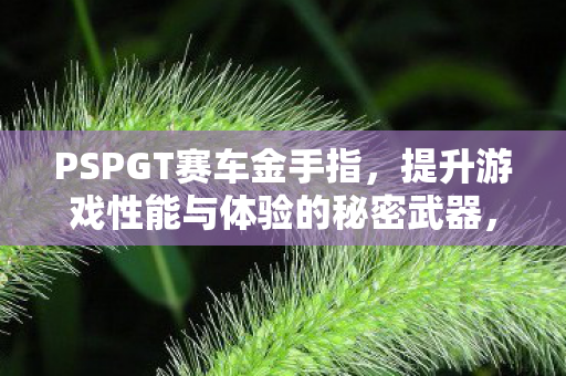 提升游戏性能与体验的秘密武器图片