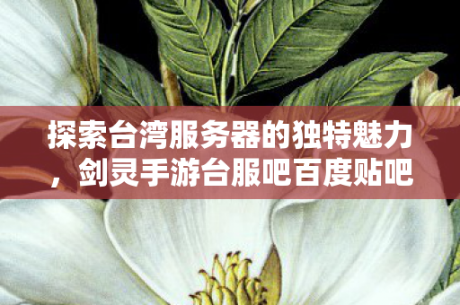 探索台湾服务器的独特魅力图片