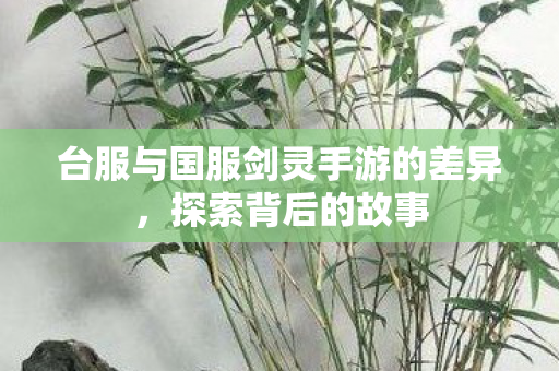 台服与国服剑灵手游的差异图片