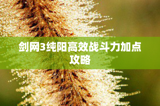 剑网3纯阳高效战斗力加点攻略图片