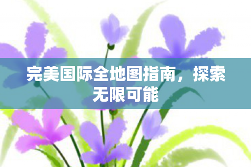 完美国际全地图指南图片