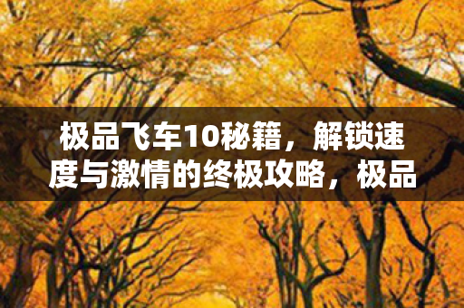 解锁速度与激情的终极攻略图片