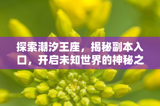 开启未知世界的神秘之旅图片