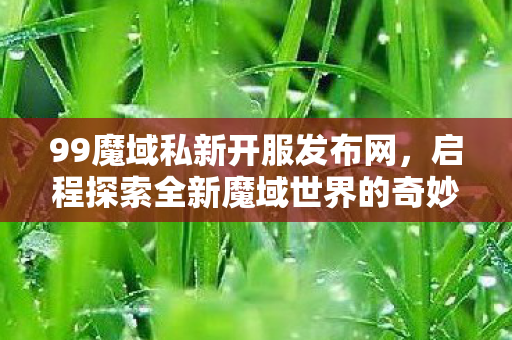 启程探索全新魔域世界的奇妙冒险图片