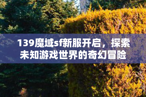 探索未知游戏世界的奇幻冒险图片