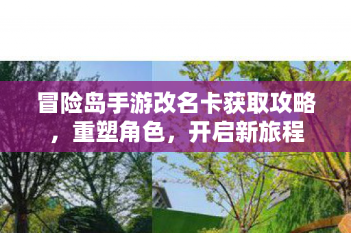 冒险岛手游改名卡获取攻略图片