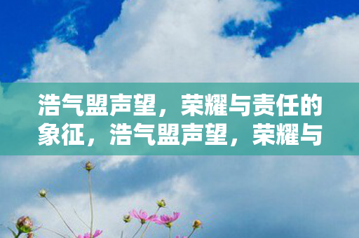 浩气盟声望,荣耀与责任的象征,浩气盟声望,荣耀与责任的象征 浩气盟声望,荣耀与责任的象征,浩气盟声望,荣耀与责任的象征