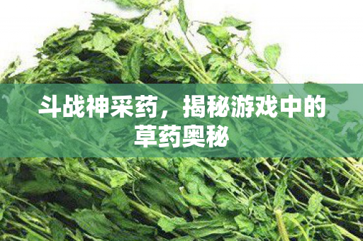 揭秘游戏中的草药奥秘图片